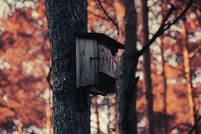 Tematyczne kolacje dla par - Inspiracje i wybór